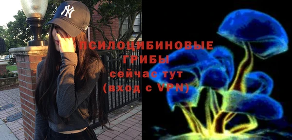 синтетический гашиш Арсеньев